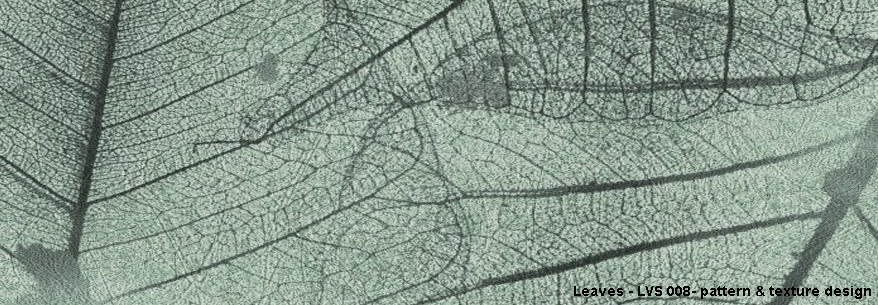 Leaves - Newmor Contract
